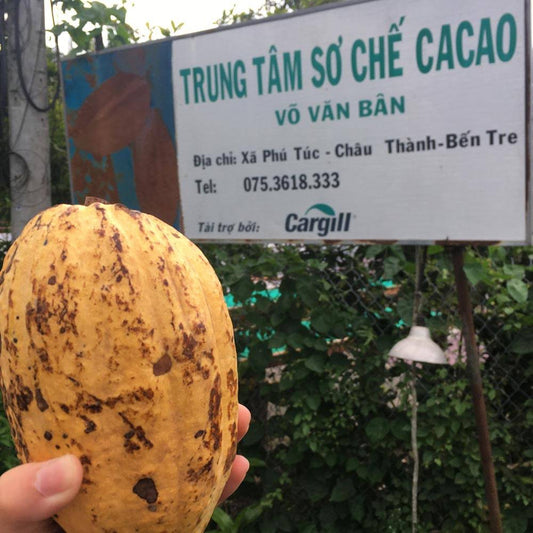 カカオの生産地を知ろう(ベンチェ, ベトナム)