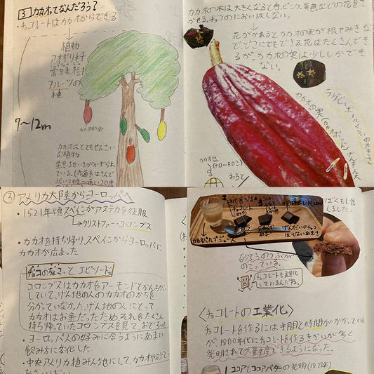【夏休み親子向けワークショップ②】小学4年生 夏休みの自由研究レポートをご紹介