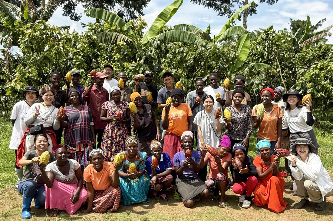 職と成長の循環に触れた日：「Farm of Africa」訪問記