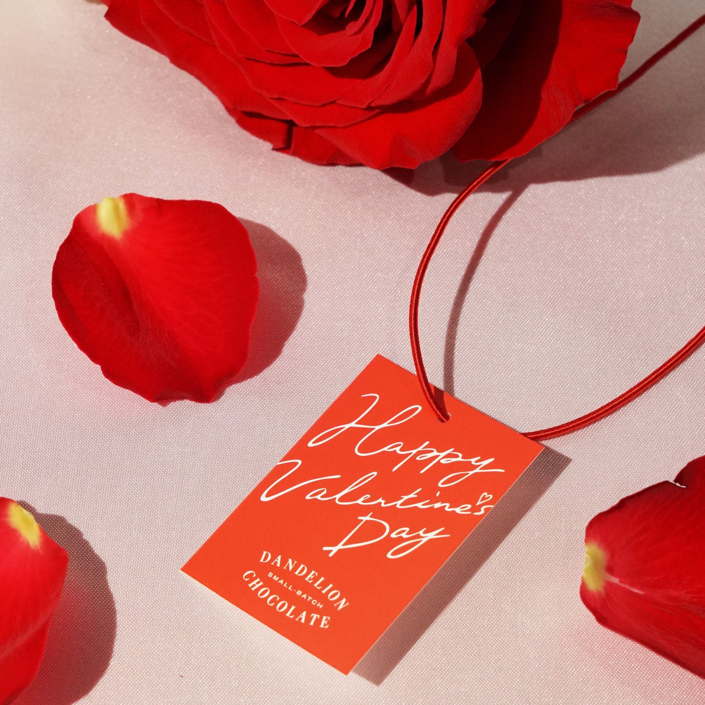 シングルオリジン・生チョコレート アナマライ, インド